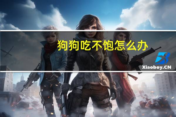狗狗吃不饱怎么办