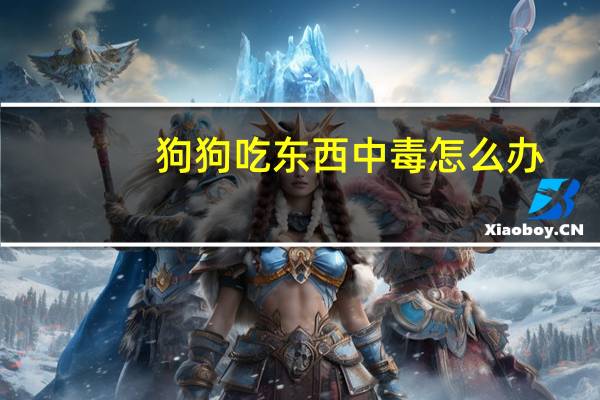 狗狗吃东西中毒怎么办