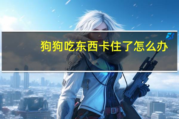 狗狗吃东西卡住了怎么办
