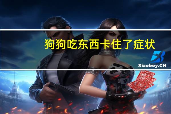 狗狗吃东西卡住了症状