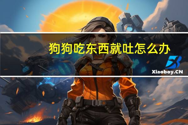 狗狗吃东西就吐怎么办
