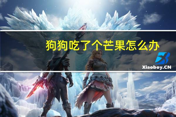 狗狗吃了个芒果怎么办