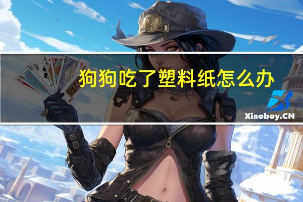 狗狗吃了塑料纸怎么办