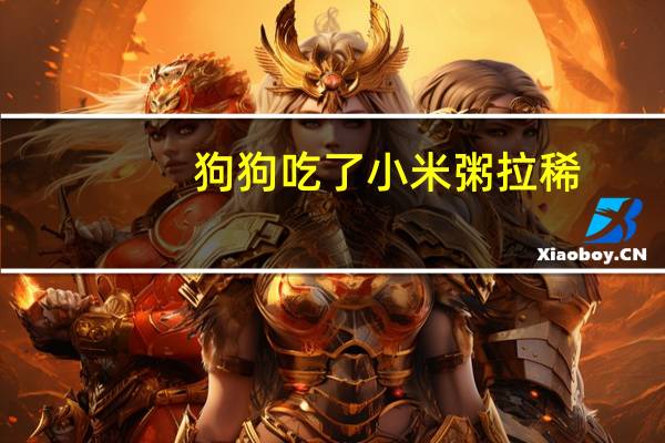狗狗吃了小米粥拉稀