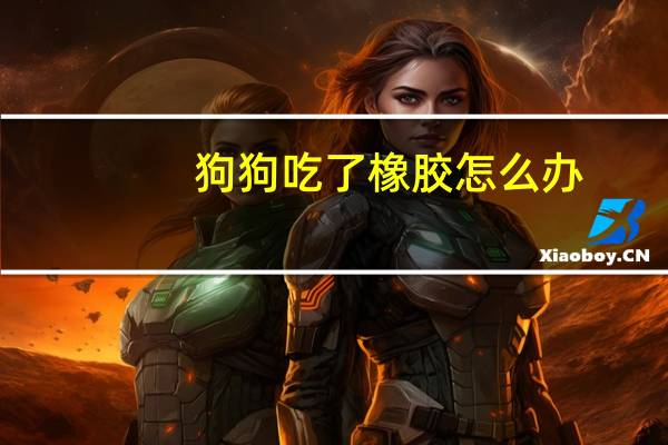 狗狗吃了橡胶怎么办