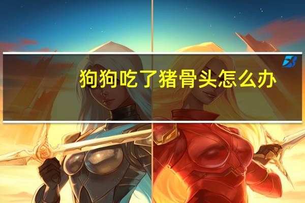狗狗吃了猪骨头怎么办