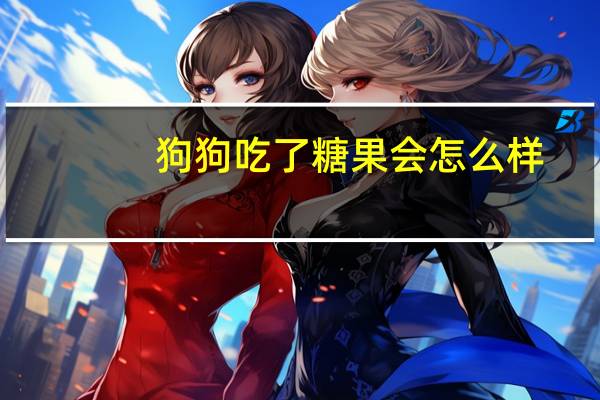 狗狗吃了糖果会怎么样