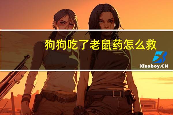 狗狗吃了老鼠药怎么救