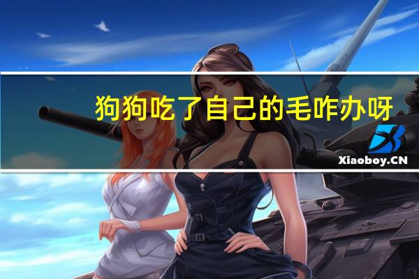 狗狗吃了自己的毛咋办呀