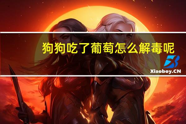 狗狗吃了葡萄怎么解毒呢