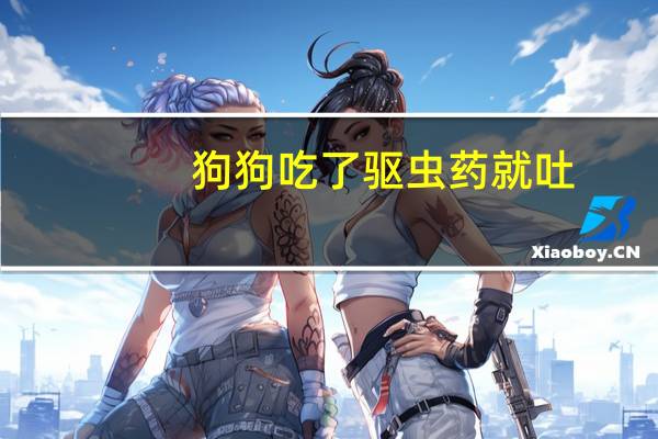 狗狗吃了驱虫药就吐