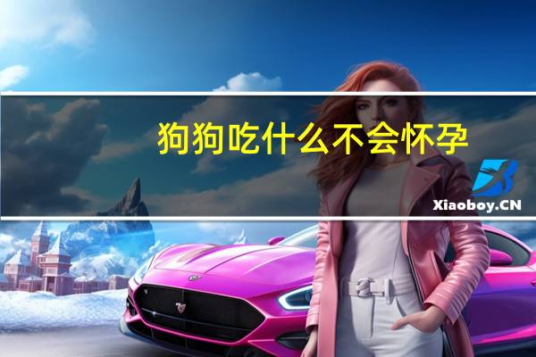 狗狗吃什么不会怀孕