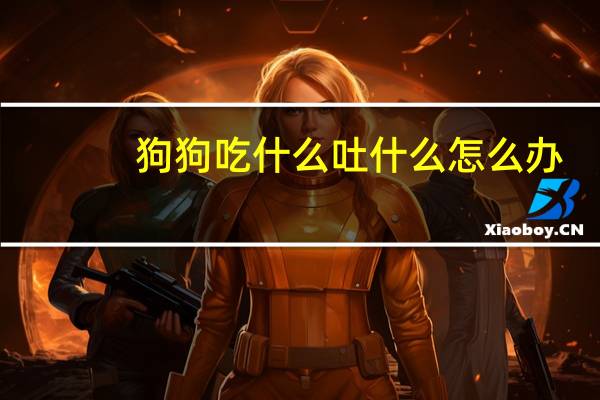 狗狗吃什么吐什么怎么办