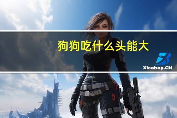 狗狗吃什么头能大
