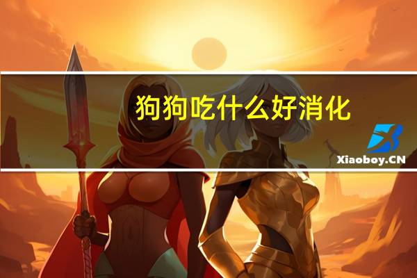 狗狗吃什么好消化