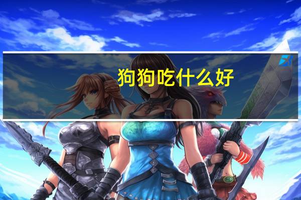 狗狗吃什么好