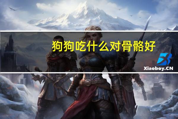 狗狗吃什么对骨骼好
