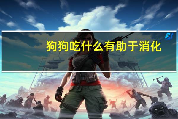狗狗吃什么有助于消化