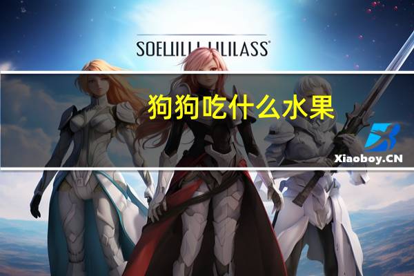 狗狗吃什么水果