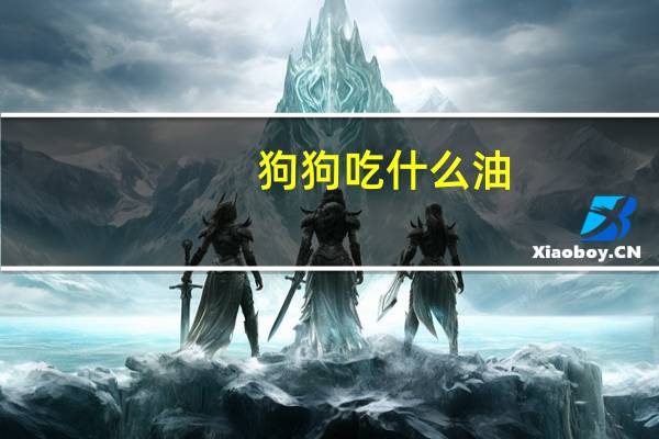 狗狗吃什么油
