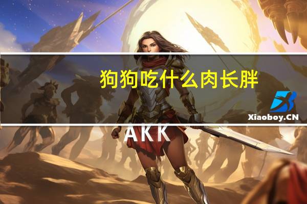 狗狗吃什么肉长胖