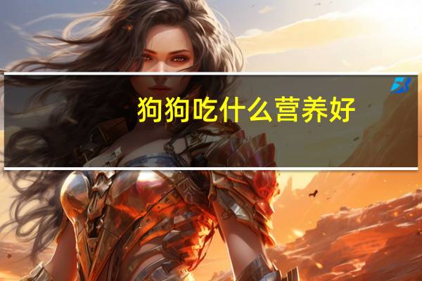 狗狗吃什么营养好