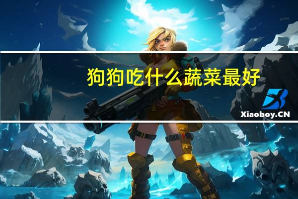 狗狗吃什么蔬菜最好