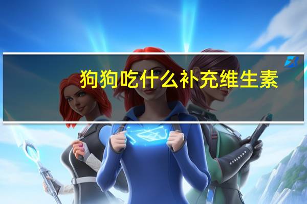 狗狗吃什么补充维生素