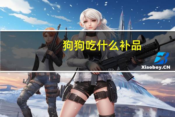 狗狗吃什么补品