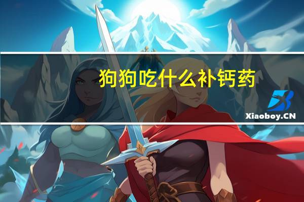 狗狗吃什么补钙药