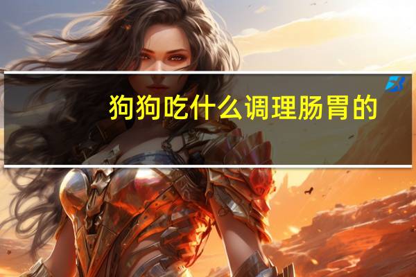 狗狗吃什么调理肠胃的