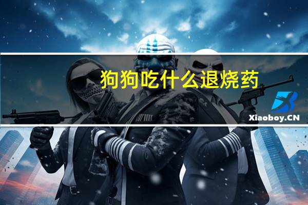 狗狗吃什么退烧药