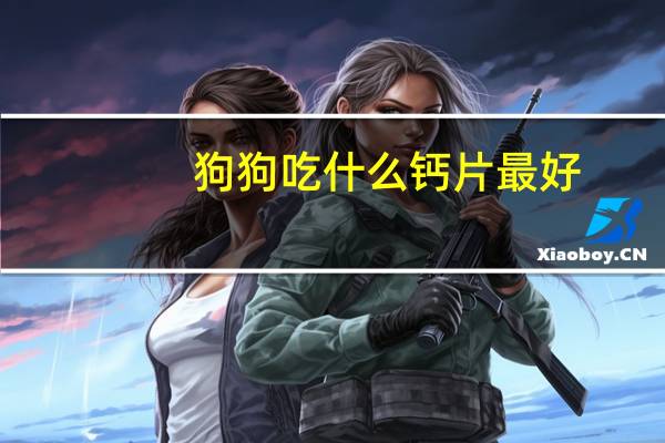 狗狗吃什么钙片最好