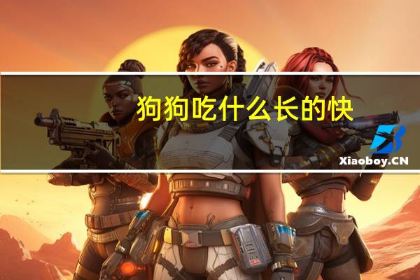 狗狗吃什么长的快