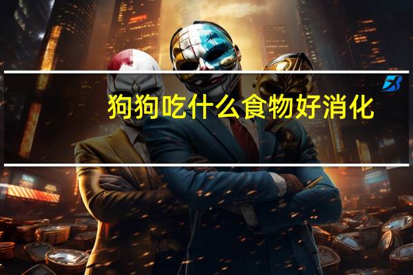 狗狗吃什么食物好消化