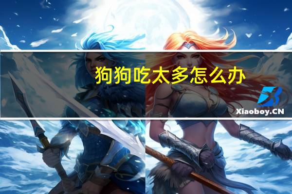 狗狗吃太多怎么办