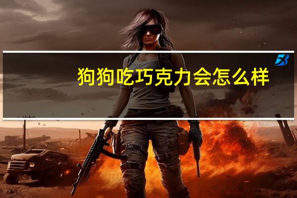 狗狗吃巧克力会怎么样