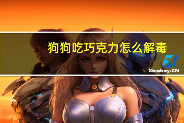 狗狗吃巧克力怎么解毒