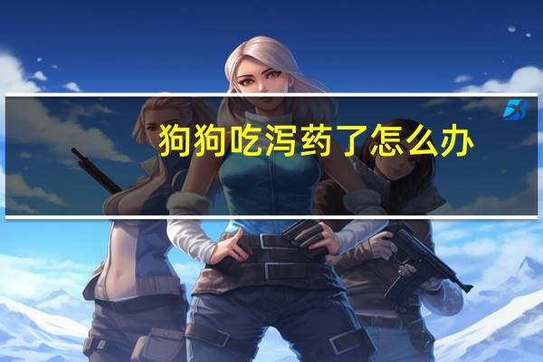 狗狗吃泻药了怎么办