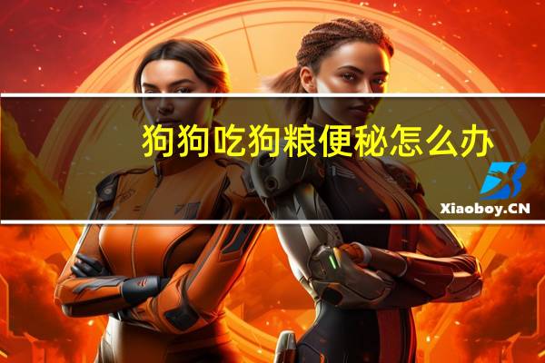 狗狗吃狗粮便秘怎么办