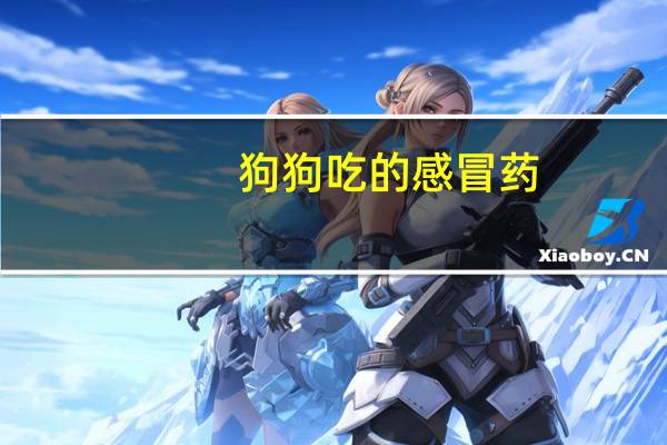 狗狗吃的感冒药