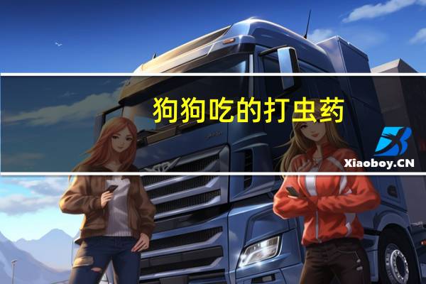 狗狗吃的打虫药