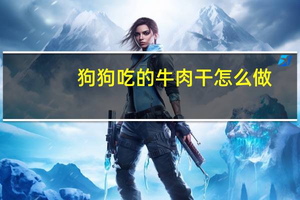 狗狗吃的牛肉干怎么做