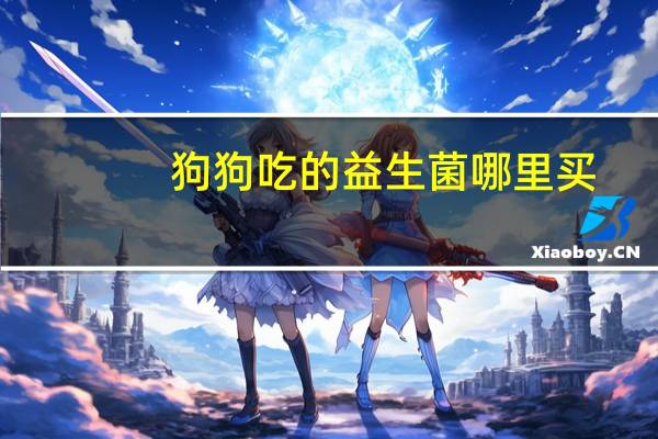 狗狗吃的益生菌哪里买