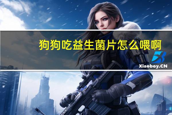 狗狗吃益生菌片怎么喂啊