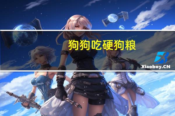 狗狗吃硬狗粮