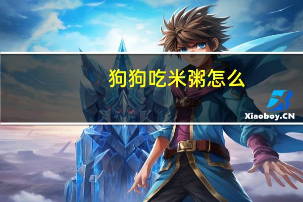 狗狗吃米粥怎么