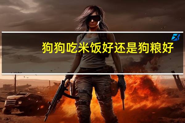 狗狗吃米饭好还是狗粮好
