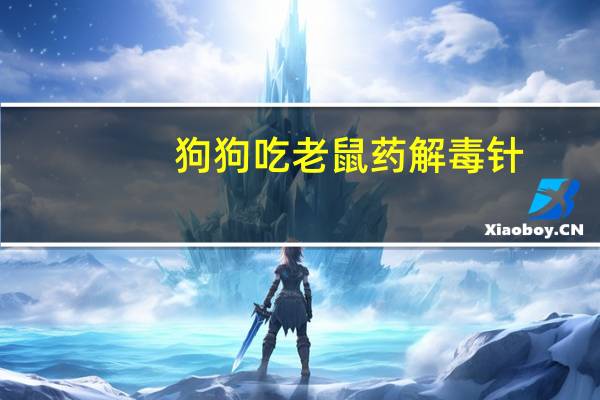 狗狗吃老鼠药解毒针