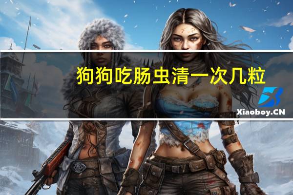 狗狗吃肠虫清一次几粒